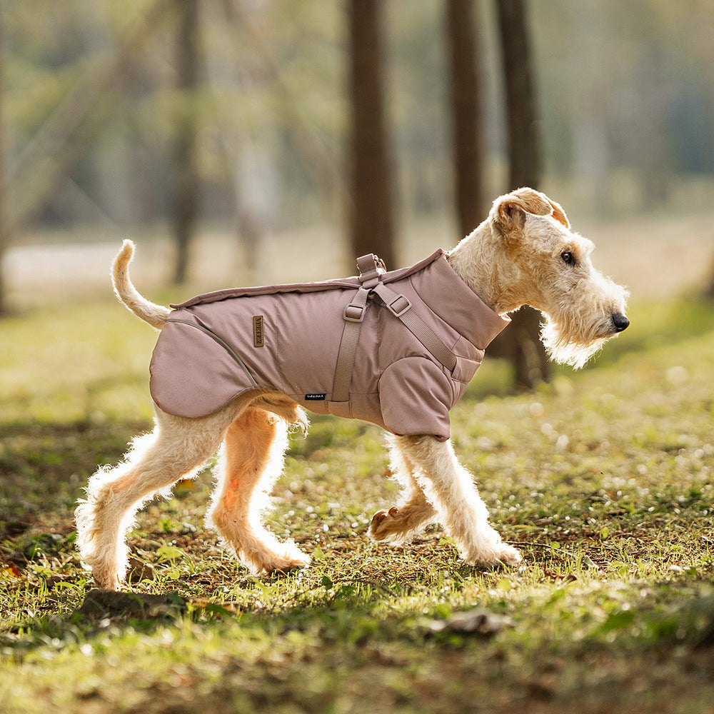 Lassie