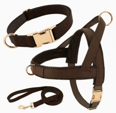 Harness Leash Set