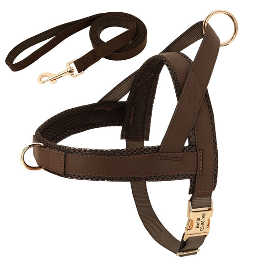 Harness Leash Set