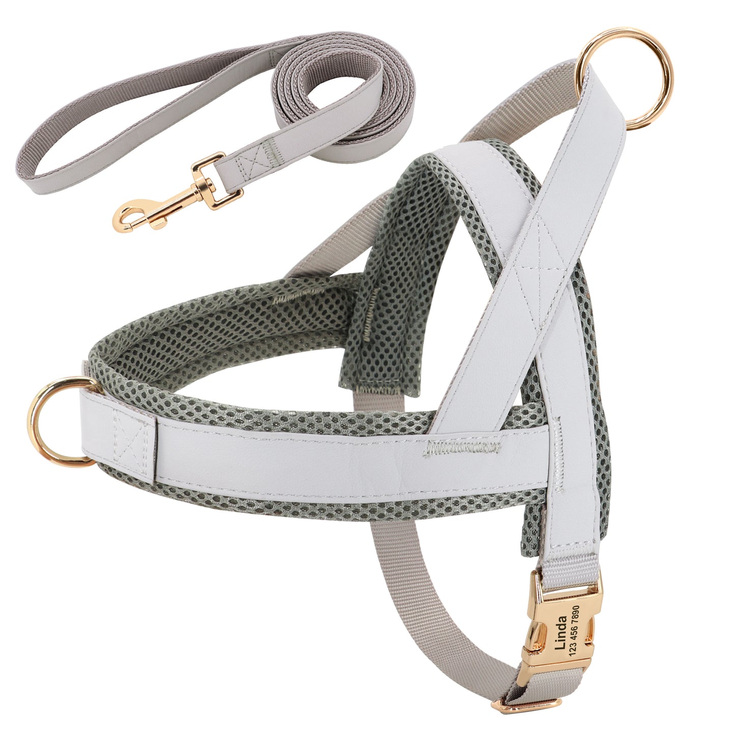 Harness Leash Set