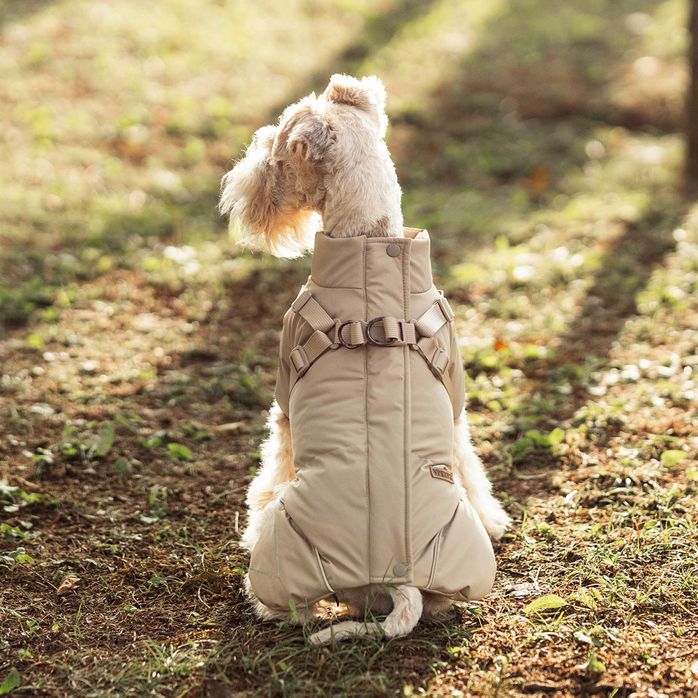 Lassie